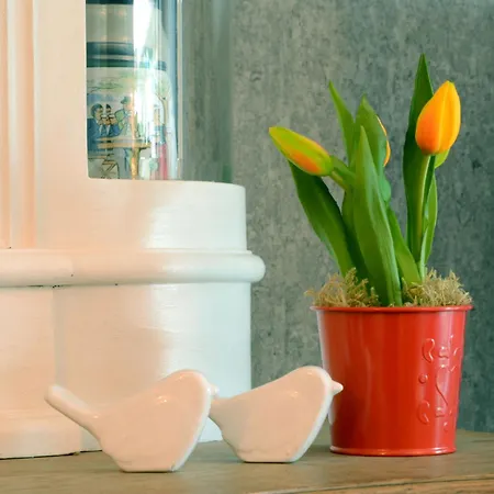 Hermanns By Interhome Brakel